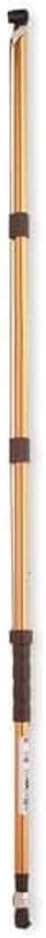 Hyde 28270 AnglePro Spray Tip Extension with pivoting tip, 5-Feet
