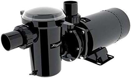 Raypak Protege Pool Pump with Thermal Protection & Large Basket
