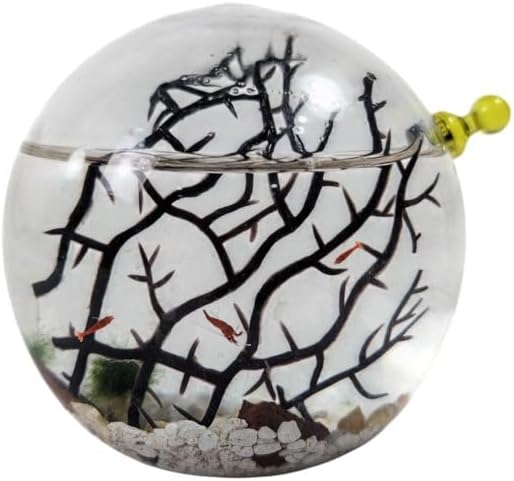 Small Glass Self Sustaining Shrimp Ecosphere by ShrimpsCity