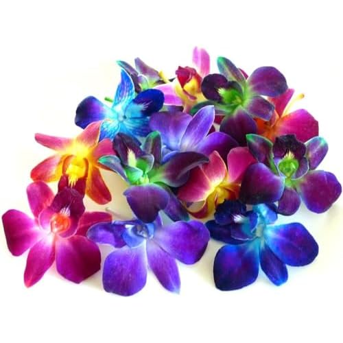 Miami Fresh Orchid Flower OrchidClub USA Sunne Tropical Loose Bloom Head DIY Lei food drink decoration MULTICOLOR 50 RAINBOW