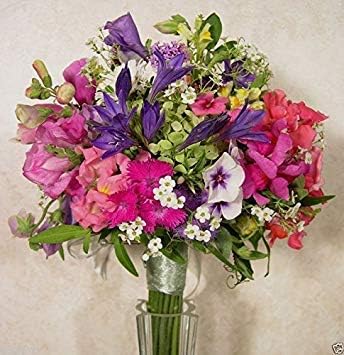 4oz All In One Wildflowers Mix(Bouquet Mix) Fertilizer,Seed,Mulch/Just sew,Water