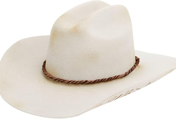 Charlie 1 Horse C1H x Lainey Wilson Whirlwind Western Hat