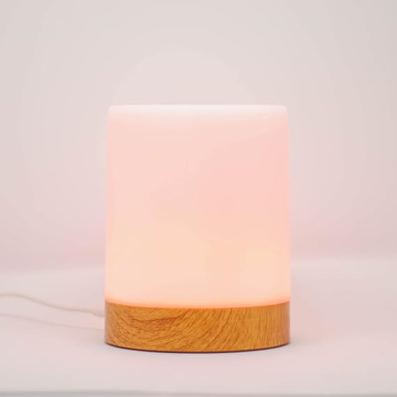 NEW! LuvLink Friendship Lamp v2.0 - Long Distance Touch Lamp