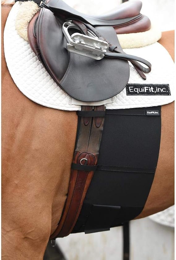 EquiFit Belly Band for Spur Protection Oversized
