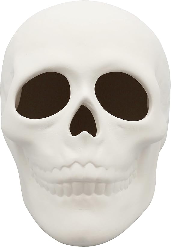Creative Hobbies Ready to Paint Ceramic Bisque Skull, 5 in L x 4 in H, Halloween Craft Activity, Includes How to Paint Your Own Pottery Booklet