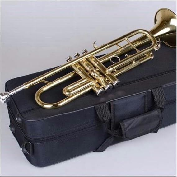 Trumpet Set Flat Lacquered Brass Band Professionally Playing Brass Instrument Trumpet(Color:Gold)