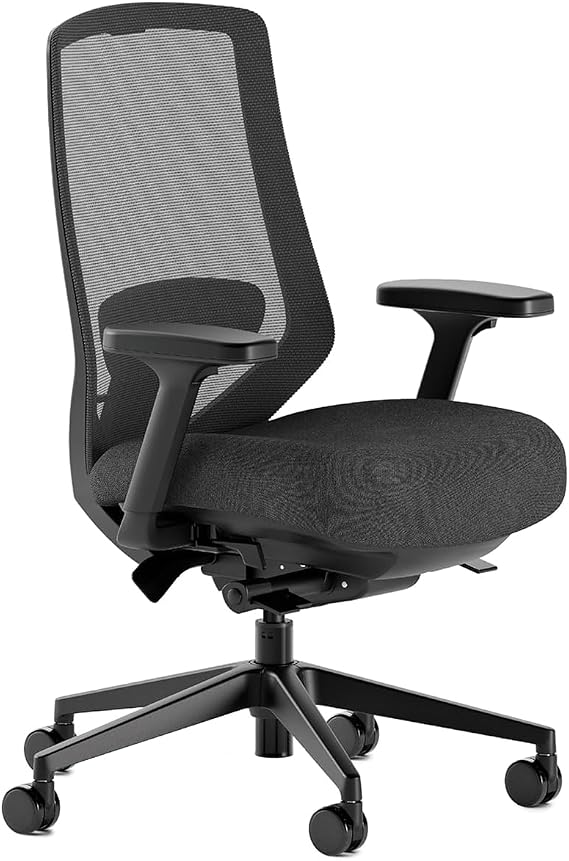 Branch Ergonomic Chair Pro, Mesh Office Chair with 14 Points of Adjustment