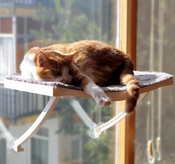 Yeni Model Cam Ve Duvar İçin Kedi Yatağı Vantuzlu