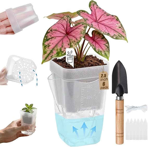 6 Pack 2.5 Inch Self Watering Pots, Clear Nursery Pots with Drainage Holes & Visible Water Level, Seed Starter Pots for Seedlings, Cuttings, Succulents, Prevent Overwatering