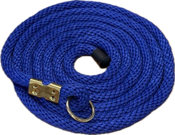 Heavy Duty Horse Lead Rope, 5/8-Inch Thick Nylon with Brass Ring - Soft Training Lead Rope for Horses with D-Ring - Heat-Sealed End for Extra Strength - Snap Link NOT Included - 10-Foot (Royal Blue)