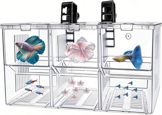 Fish Breeding Box,Breeding Box for Fish Tank,Betta Breeder Box