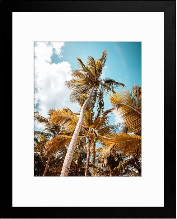 Frametory 11x14 Black Picture Frame with Real Glass Mat for 8x10