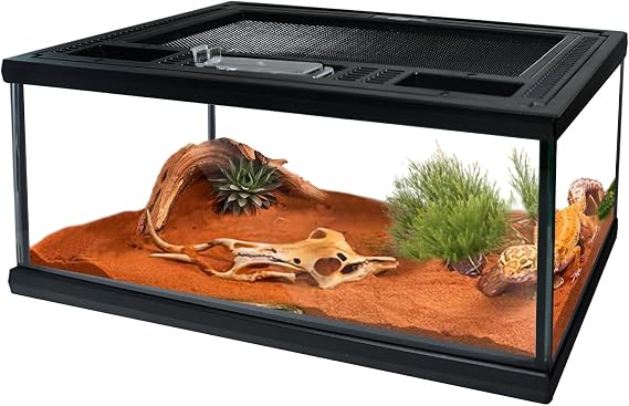 Reptile Glass Terrarium Tank 12"*8"*6",Small Cage Full View with Top Screen Ventilation Habitat Enclosure for Tarantula,Frog,Gecko,Insects,Spiders,Snakes,Hermit Crab,Turtle,Fish