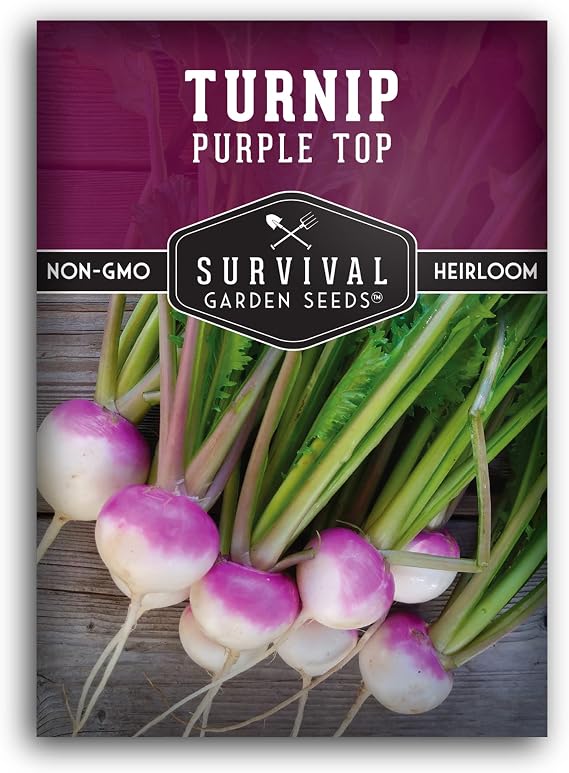 Purple Top Turnip Seeds for Planting - 1 Pack | Heirloom Non-GMO Root Vegetable for Fall & Spring Home Gardens - Survival Garden Seeds