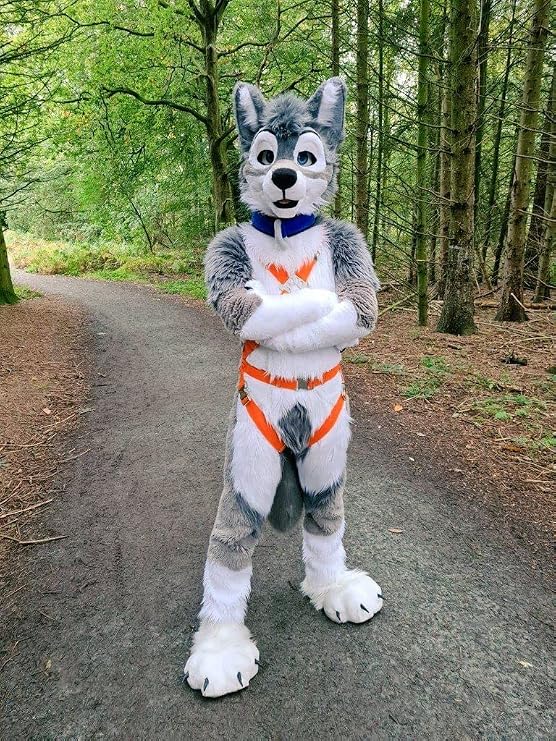 Grey White Cute Husky Cat Fursuit Fullsuit Teen Costumes Full Furry Suit Furries Costume Anime CUSTOM FOR Child Adult