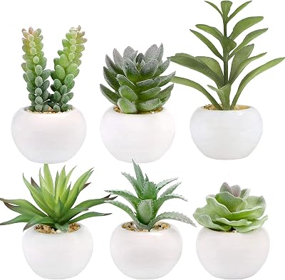 GREENTIME 6 Pcs Green Mini Artificial Succulents Plants in White Ceramic Pots Small Fake Succulent Plant Faux Indoor Decor Bedroom Desk Bathroom Office Living Room Table Shelf Home Decoration