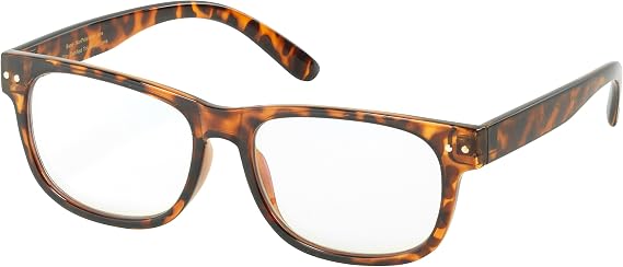 Eagle Eyes Computer Glasses - with Attachable Polarized Clip-Ons