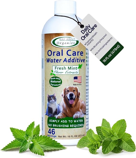 Oral Care Water Additive for Cats & Dogs Gentle Dental Support Reduces Breath Odors, Promotes Gum Health No Brushing Convenient for Daily Use, Fresh Mint Flavor, 16 FL oz