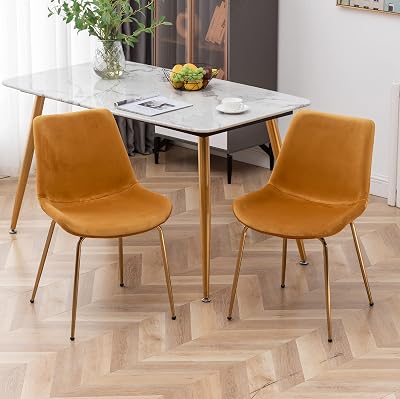 Roundhill Furniture Aufurr Modern Velvet Dining Chairs, Set of 2, Gold