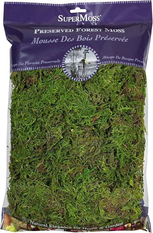 SuperMoss (25322) Forest Moss Preserved, Fresh Green, 8oz